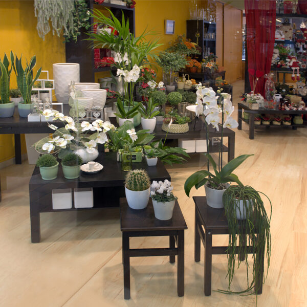 La Violeta Art Floral - Floristeria a Vic