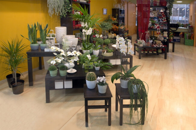 La Violeta Art Floral - Floristeria a Vic
