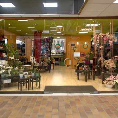 La Violeta Art Floral - Floristeria a Vic