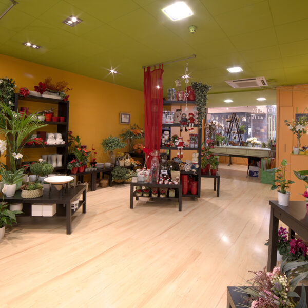 La Violeta Art Floral - Floristeria a Vic