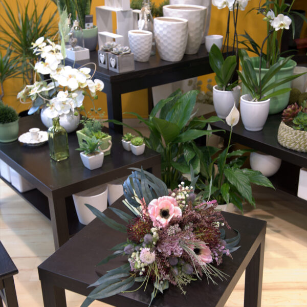 La Violeta Art Floral - Floristeria a Vic