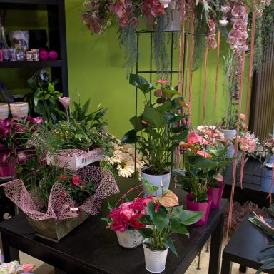 La Violeta Art Floral - Floristeria a Vic