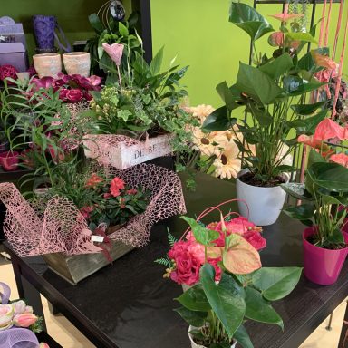 La Violeta Art Floral - Floristeria a Vic