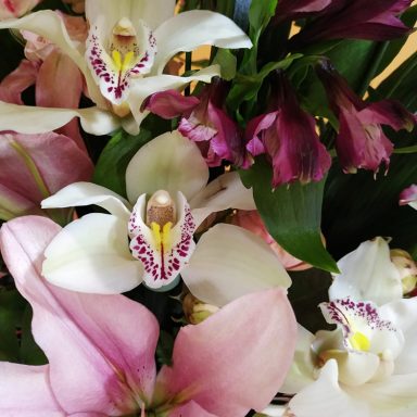 La Violeta Art Floral - Floristeria a Vic