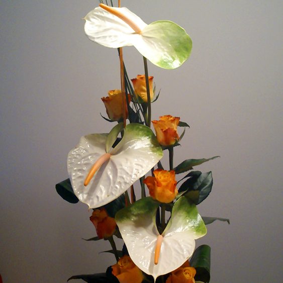 La Violeta Art Floral - Floristeria a Vic