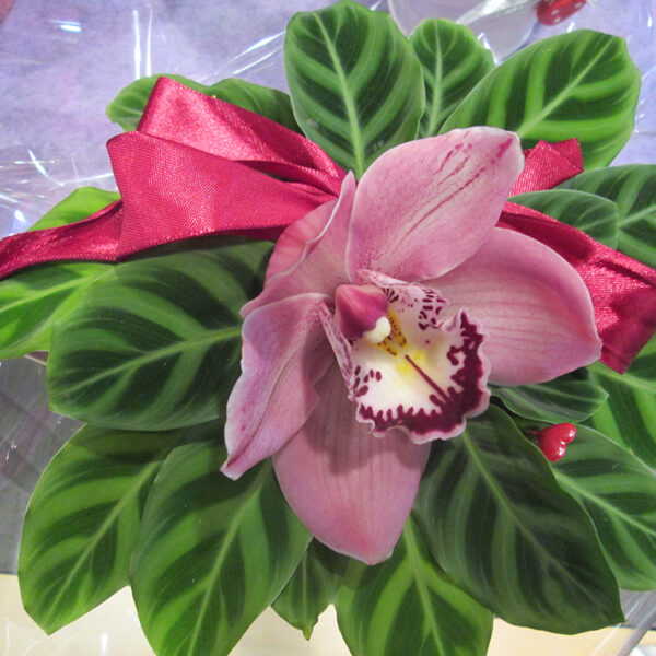 La Violeta Art Floral - Floristeria a Vic