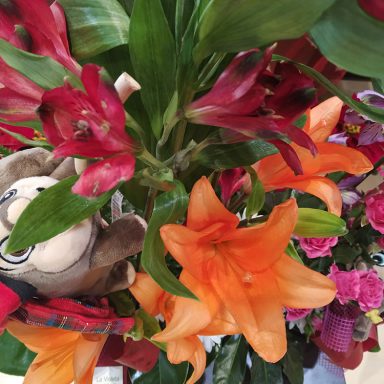 La Violeta Art Floral - Floristeria a Vic