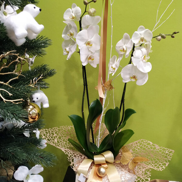 La Violeta Art Floral - Floristeria a Vic