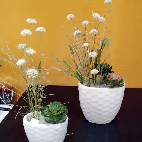 La Violeta Art Floral - Floristeria a Vic