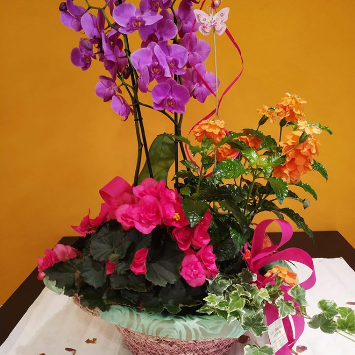 La Violeta Art Floral - Decoració floral per espais