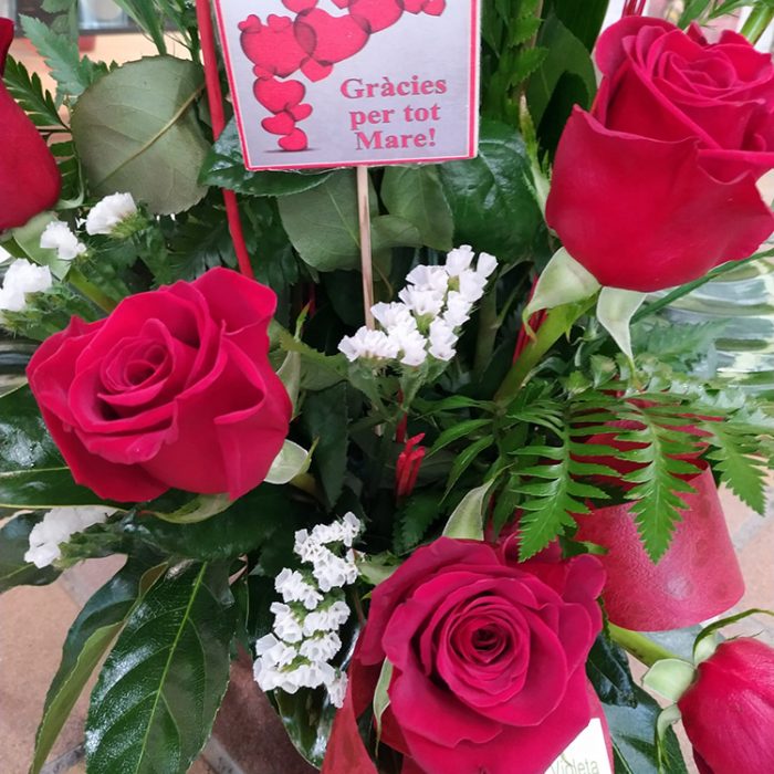 La Violeta Art Floral - Flors per regalar a Vic